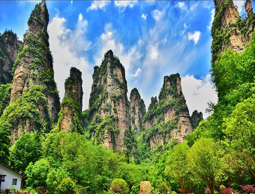 张家界跟团游,张家界旅游攻略5天自由行,张家界自驾游,张家界旅游路线攻略,张家界中国国际旅行社